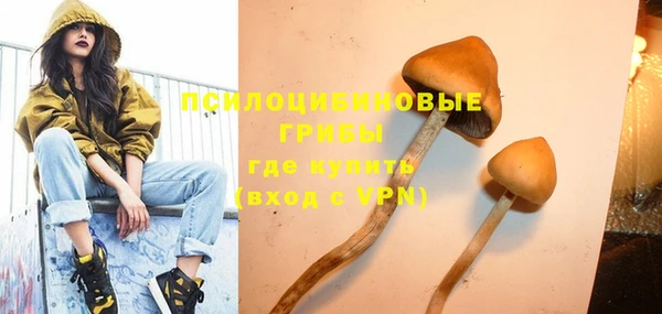 прущие грибы Дмитров