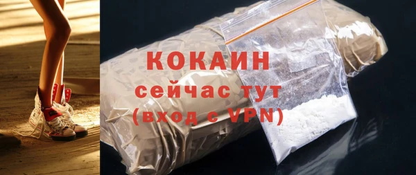 прущие грибы Дмитров