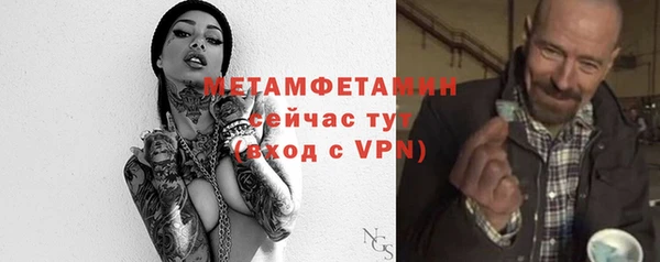 прущие грибы Дмитров