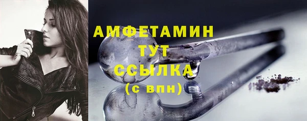 прущие грибы Дмитров