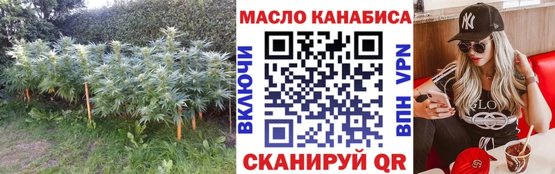 KRAKEN   купить   Ельня  ТГК гашишное масло 