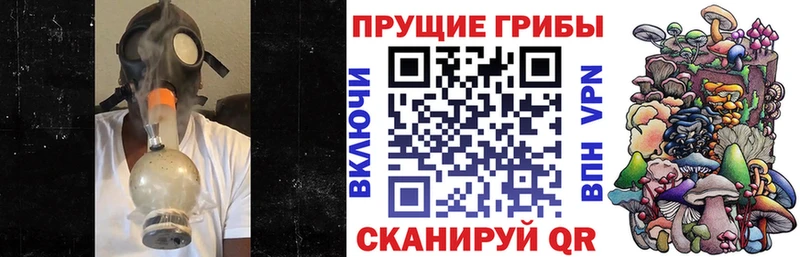 ссылка на мегу как зайти  Ельня  Галлюциногенные грибы MAGIC MUSHROOMS 