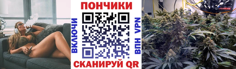 Марихуана Amnesia Ельня